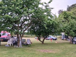 tmt 2025 opsaetning 31